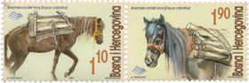 fauna---bosansko---brdski-konj