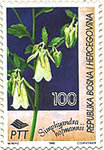 flora---endemi-bih-bosanska-udovcica